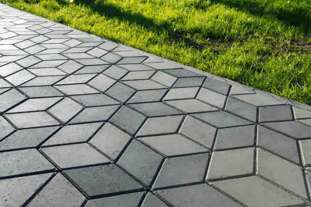 Best Commercial Driveway Pavers  in Pinewood, FL